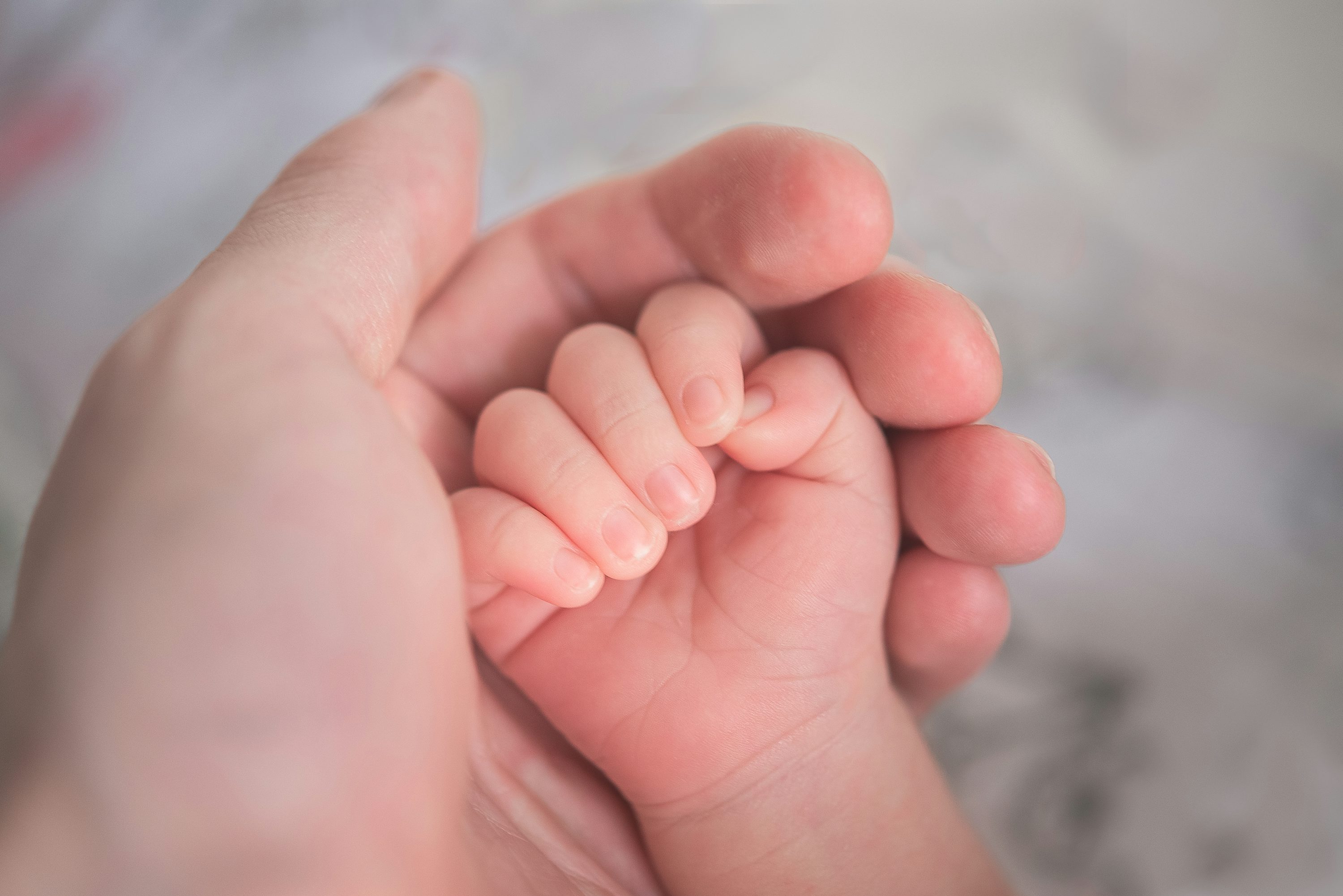 Maternity Sure Start